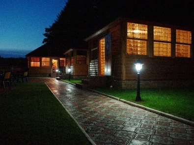 Landscape lighting installed by an electrician