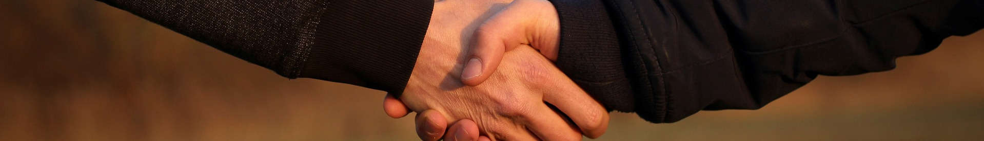 Two people shaking hands